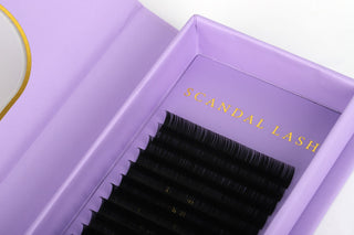 Easy Fan Volume Lashes